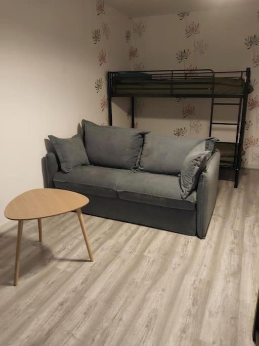 Studio Le Beaufort, Wifi, Fibre Apartment La Chatre Ngoại thất bức ảnh